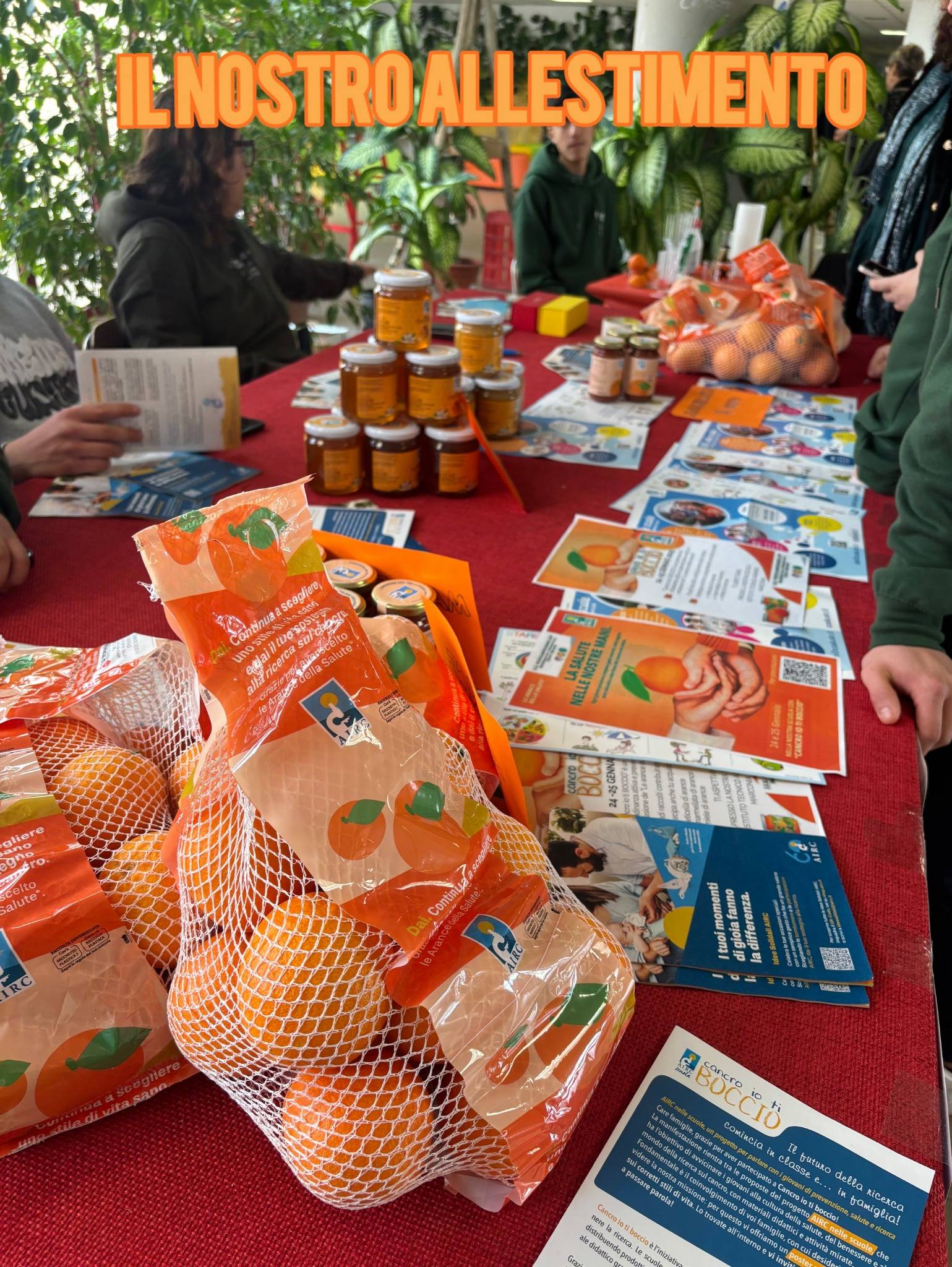 Elaborato classe "IV B"