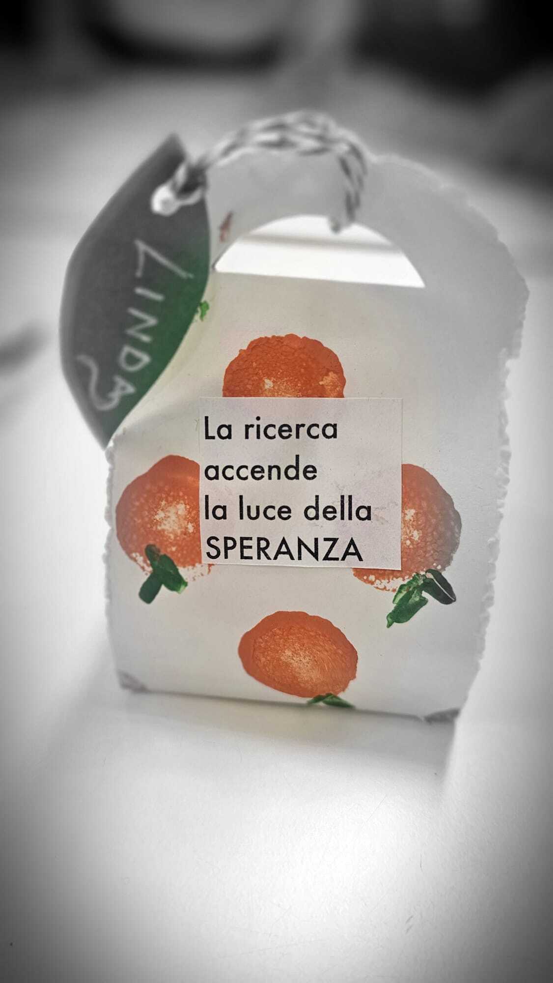 Elaborato classe "Infanzia plesso Ciari sezioni A - B - C"