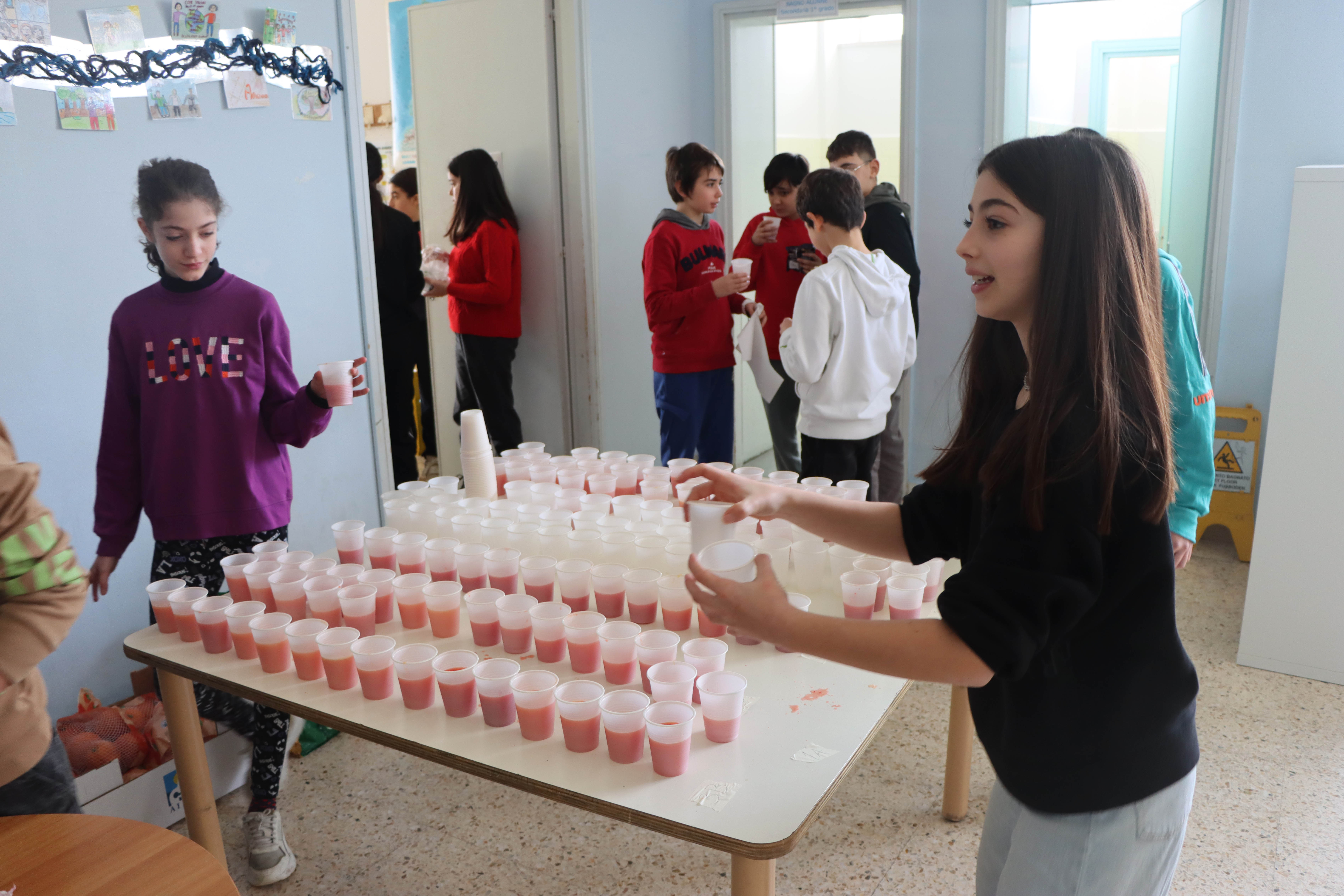 Elaborato classe "Seconda C"