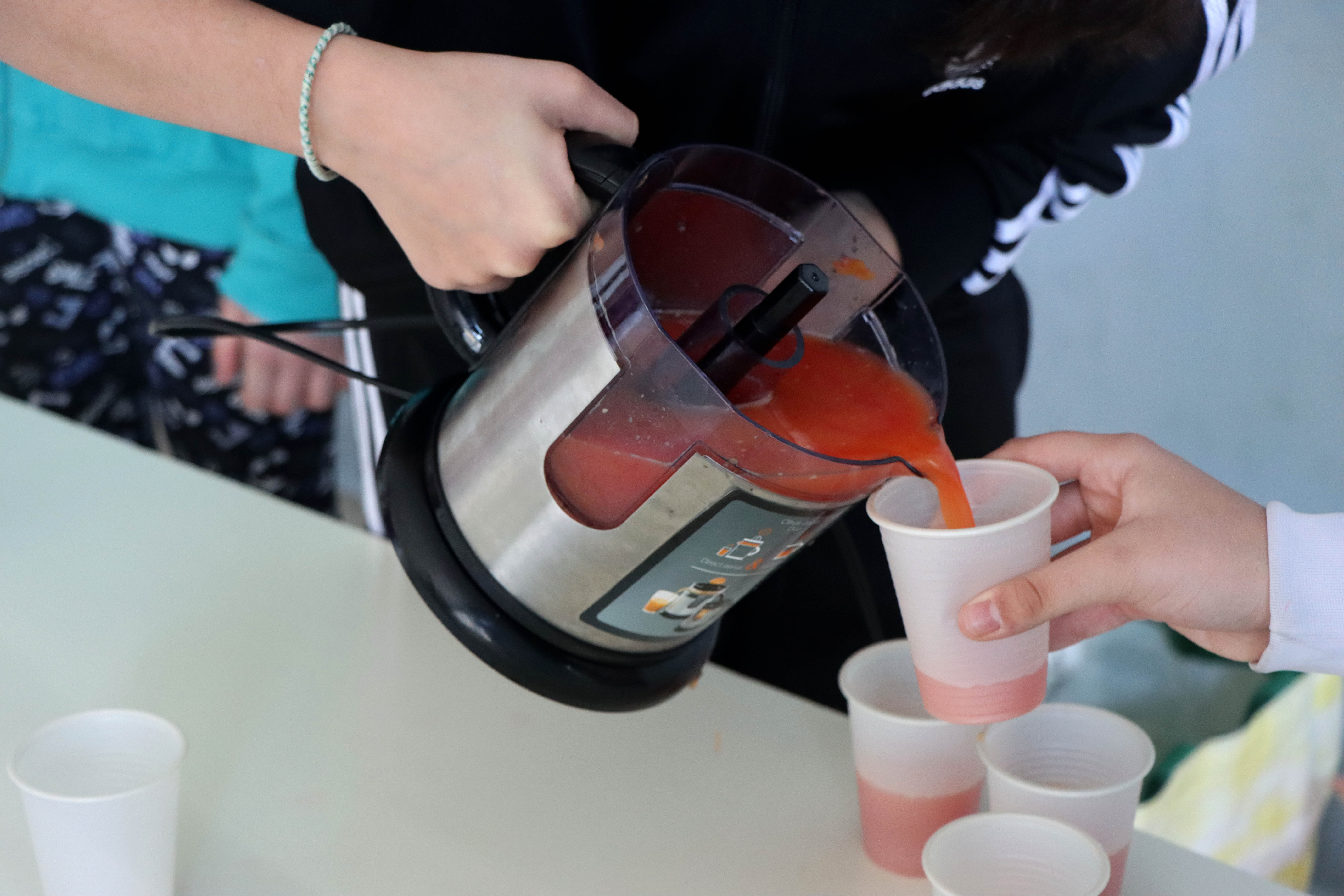 Elaborato classe "Seconda C"